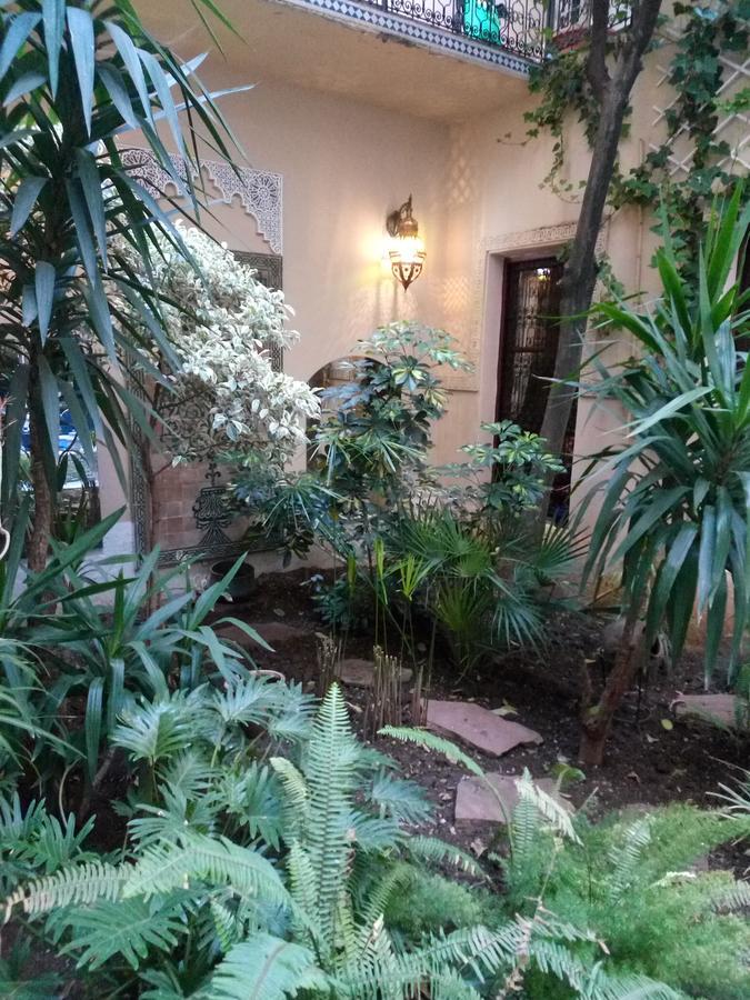 Riad Letchina فاس المظهر الخارجي الصورة